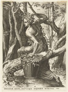 Dryas von Cornelis Cort