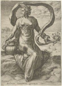 Napaea von Cornelis Cort