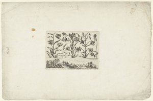 Reihe von Blumen über Landschaft Blumen und Landschaften (Serientitel) von Cornelis Danckerts (I)