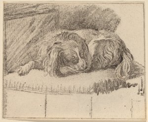 Liegender Hund von Cornelis Ploos van Amstel