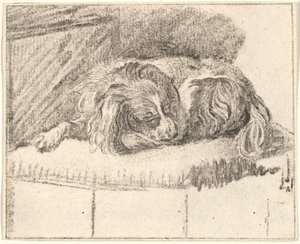 Schlafender Hund, 1777 von Cornelis Ploos van Amstel