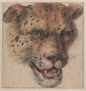  von Cornelis Saftleven