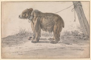  von Cornelis Saftleven