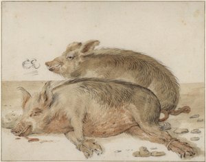  von Cornelis Saftleven