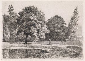 Landschaft mit Bäumen, See und einer Frau