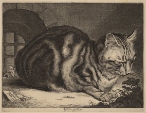 Die große Katze von Cornelis Visscher