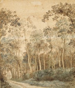 Bewaldete Landschaft
