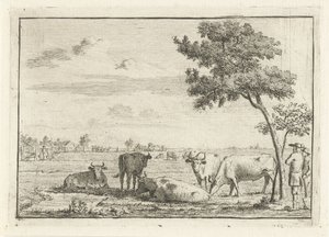 Fünf Kühe auf einer Weide von Cornelis van Noorde
