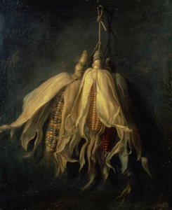 Drei Maiskolben, die an einem Nagel hängen von Cornelis van Spaendonck