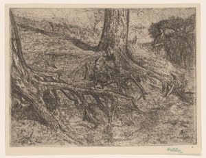 Baumwurzeln von Cornelis van Steenwijk