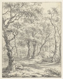 Waldlandschaft von Couwenhoven