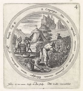 Noach legt einen Weinberg an