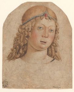 Kopf eines Jugendlichen mit Diadem von Cristoforo Caselli