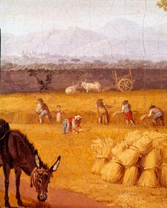 Ernte bei Caserte (Detail). Gemälde von Cristoforo Kneip (18. Jahrhundert), Freund von Goethe. 18. Jahrhundert Neapel, Museo Nazionale di San Martino von Cristoforo Kneip