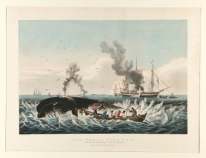 Der Walfang: Angriff auf einen Pottwal von Currier and Ives