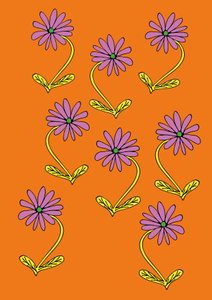 Gänseblümchen auf orangem Hintergrund