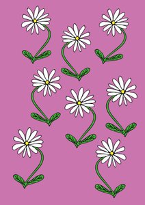 Gänseblümchen Wiederholung Rosa Hintergrund