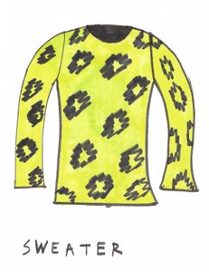 Pullover von Daisy de Villeneuve