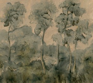 Vergessener Wald von Dan Hobday