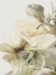 Hügelblumen