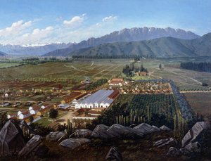 Der Weinberg von Erranzuriz-Panquehue, Chile, 1896