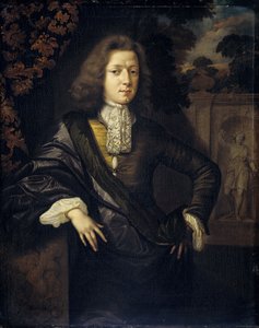 Johan van Bochoven von Daniel Haringh