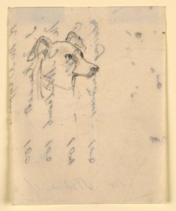 Hundekopf, wahrscheinlich Milo (ein Pointer), ca. 1862 von Daniel Huntington
