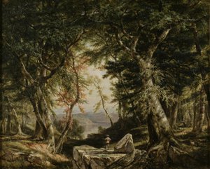 Blicke aus dem Wald
