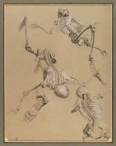 Studie von Skeletten, 1848