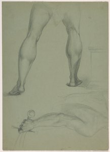 Zwei teilweise anatomische Studien von Daniel Huntington