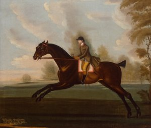 Sportsmann, ein brauner Jäger mit einem Gentleman in einer bewaldeten Landschaft