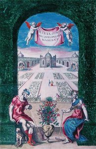 Buch der Pflanzen, 1627 von Daniel Rabel