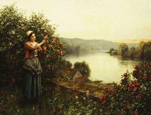 Sommerblüten
