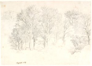 Studie von Bäumen von Dankvart Dreyer
