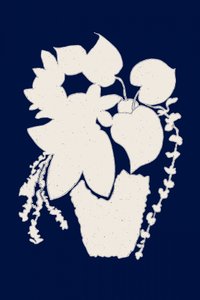 Elegante Topfpflanzensilhouette von Danushka Abeygoda
