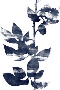 Serene Indigo-Botanicals