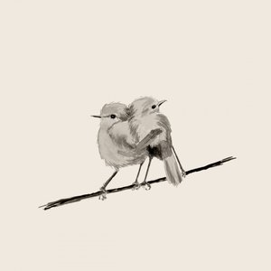 Süßes Vogelpaar