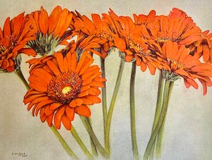 Orange Burst, 2019 von Darrell Windjack