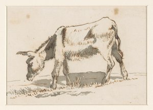 Grasender Esel, von links