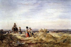 Im Heufeld von David Cox