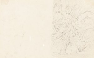 Bäume (verso)