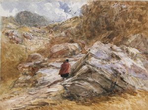 Gebirgspass bei Bettws-y-Coed