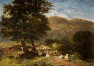 Schafe hüten, Bettws-y-Coed
