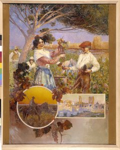 Aigues-Mortes, Arles, die Camargue: eine junge Frau zeigt eine schöne Traube, die sie gerade aus einem Weinberg gepflückt hat
