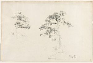 Kiefer, Lake George