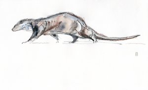 Otter läuft von David Mayer