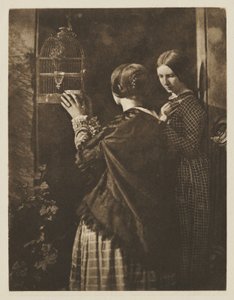 Der Vogelkäfig von David Octavius Hill