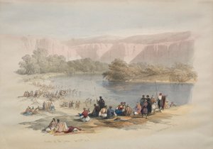 Ufer des Jordan von David Roberts