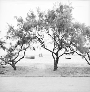Blick seewärts vom Bund in Weihaiwei von David Watkin Waters