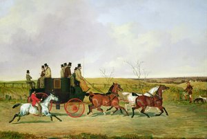 Pferd und Kutsche